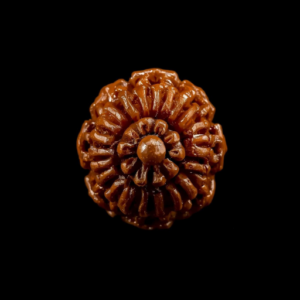 6 mukhi rudraksha